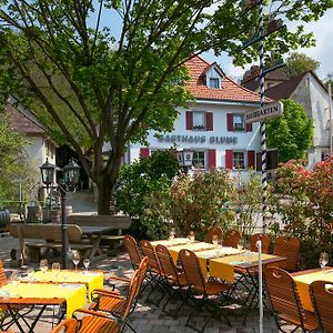 Zur Blume Hotel & Restaurant Efringen-Kirchen Bei Basel